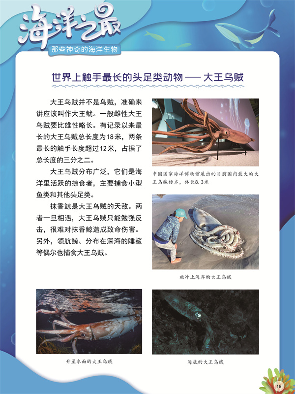 海洋之最18.jpg