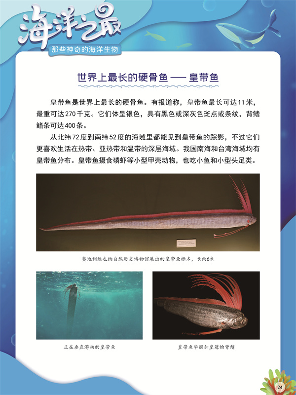 海洋之最24.jpg