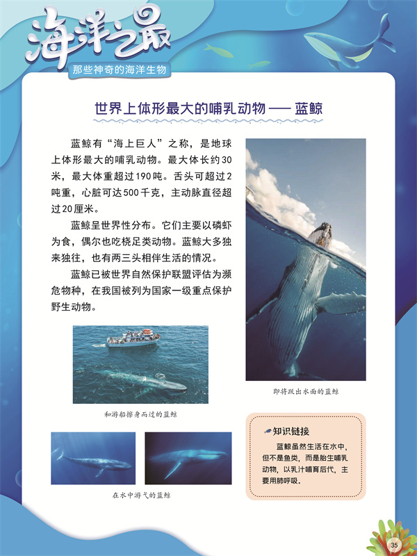 海洋之最35.jpg